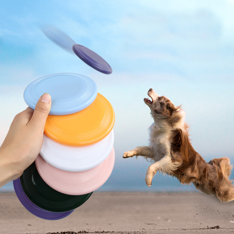 Flying Disc Dog Training Toy - مضحك تحلق الصحن للكلب ، 1