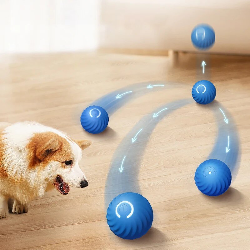 Suction Cup Dog Tug Toy - ألعاب الكلاب كرة القفز الجاذبية الذكية