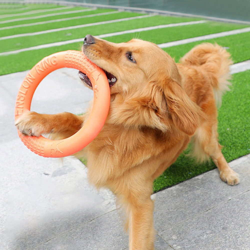 1 ، ألعاب كلاب برتقالية اللون  - مراجعة Interactive Squeaky Plush Dog Toy وسعره