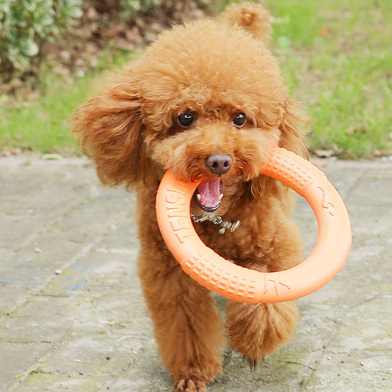1 ، ألعاب كلاب برتقالية اللون  - مراجعة Interactive Squeaky Plush Dog Toy وسعره
