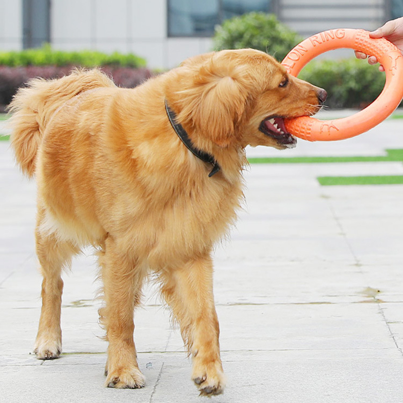 1 ، ألعاب كلاب برتقالية اللون  - مراجعة Interactive Squeaky Plush Dog Toy وسعره