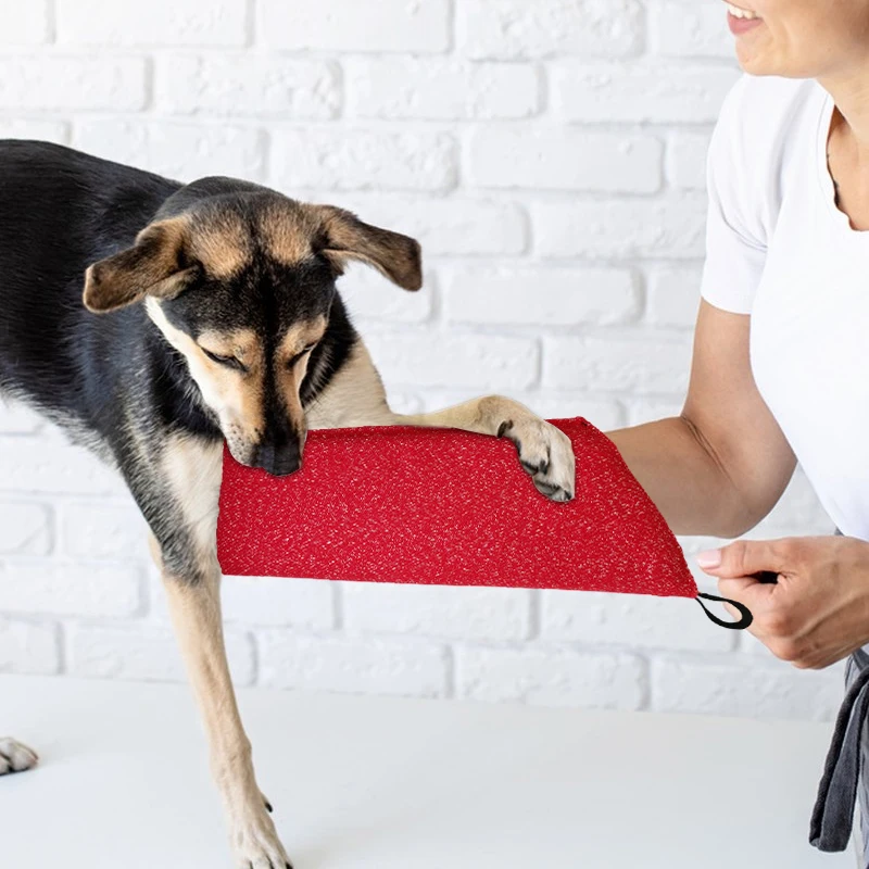 أكمام تدريب الكلاب جرو عض الكل - مراجعة Interactive Squeaky Plush Dog Toy وسعره