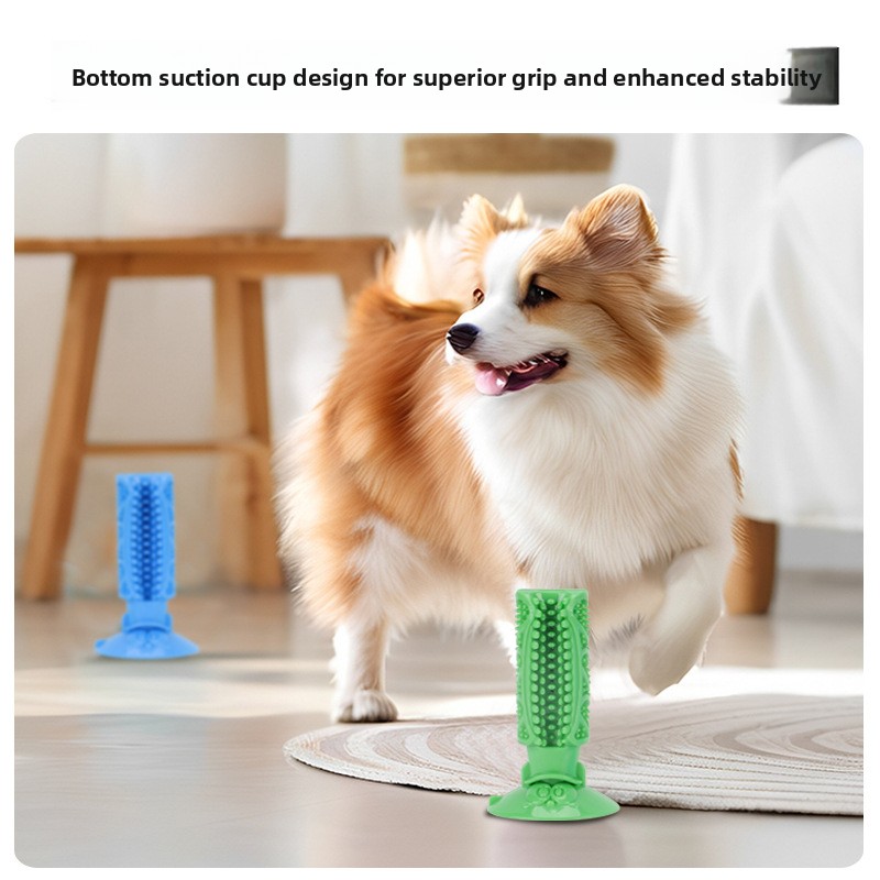لعبة مضغ لتنظيف أسنان الكلاب م - مراجعة Teeth Cleaning Dog Chew Bone وسعره
