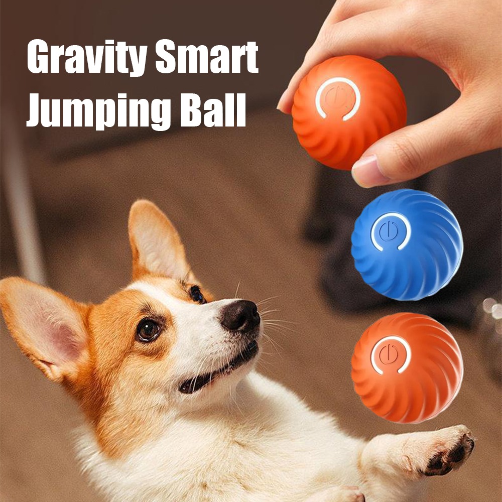 جديد 1 قطعة التلقائي تتحرك لعب - مراجعة Automatic Moving Dog Ball وسعره