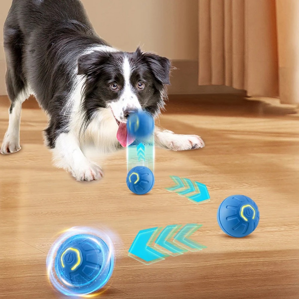 جديد 1 قطعة التلقائي تتحرك لعب - مراجعة Automatic Moving Dog Ball وسعره