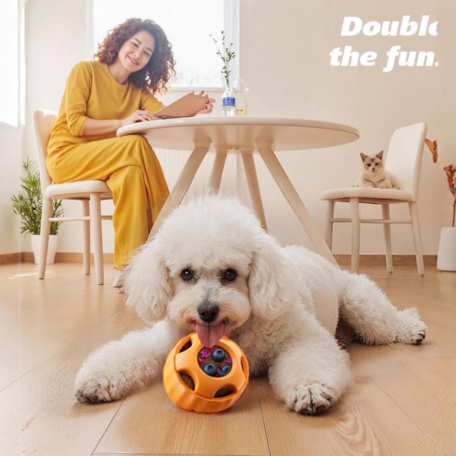 علاج الاستغناء عن ألعاب الكلاب - مراجعة Dog Puzzle Feeder Toy وسعره