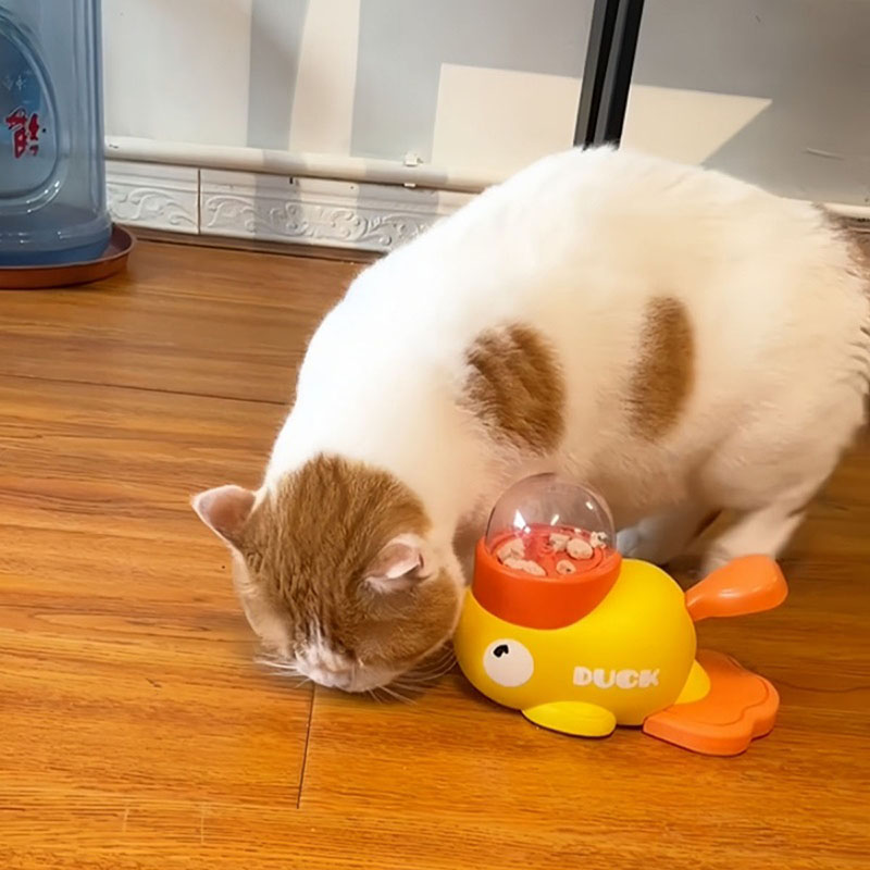 موزع طعام تفاعلي للقطط على شكل - مراجعة Dog Puzzle Feeder Toy وسعره