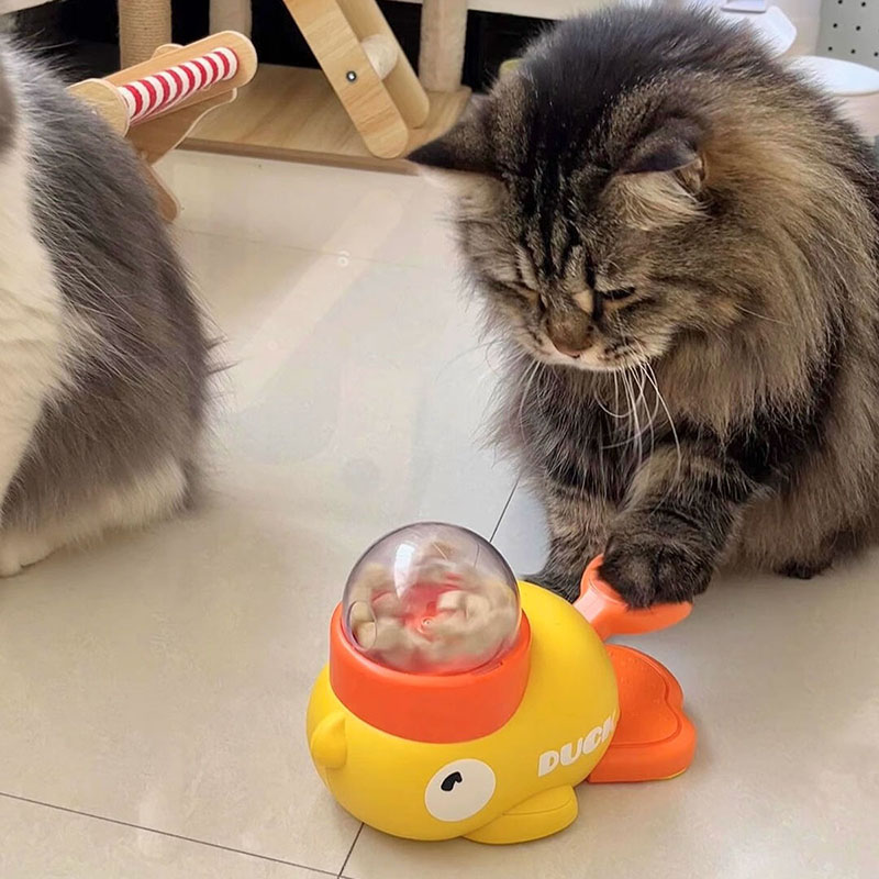 موزع طعام تفاعلي للقطط على شكل - مراجعة Dog Puzzle Feeder Toy وسعره