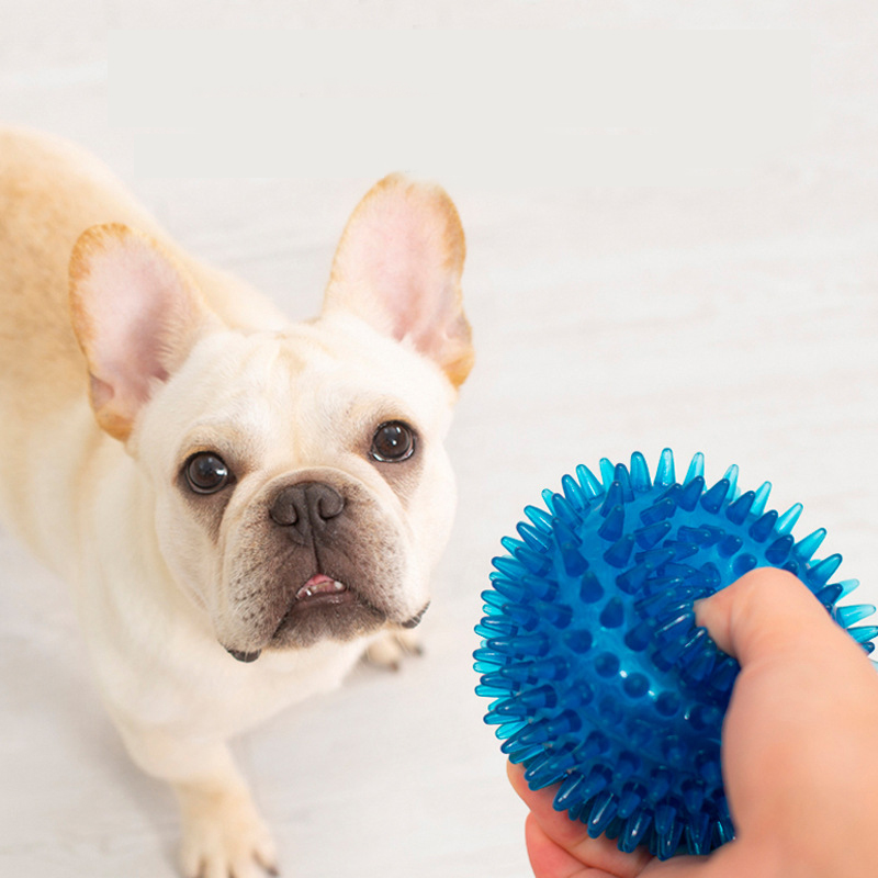 كرة لعب مقاومة للعض للحيوانات  - مراجعة Interactive Squeaky Plush Dog Toy وسعره