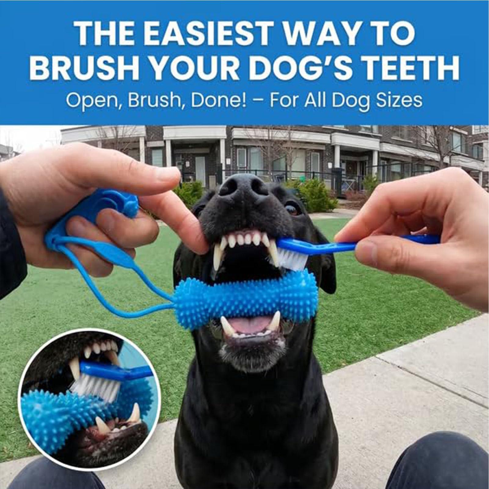 ألعاب تسنين للكلاب، عصي مضغ، ف - مراجعة Interactive Squeaky Plush Dog Toy وسعره