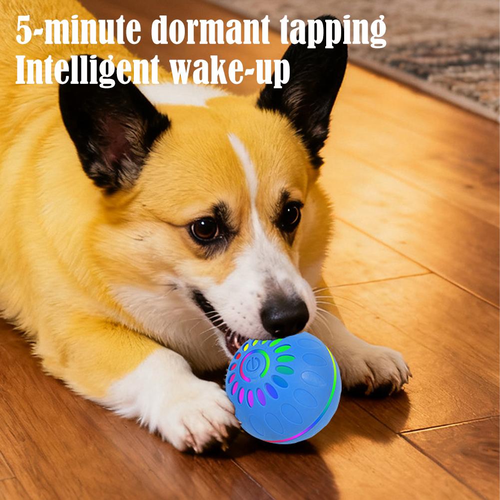 كرة لعبة ذكية للكلاب تتحرك تلق - مراجعة Automatic Moving Dog Ball وسعره