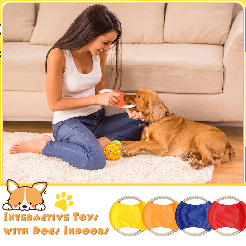 Benepaw دائم القطن حبل عضاضات  - مراجعة Flying Disc Dog Training Toy وسعره
