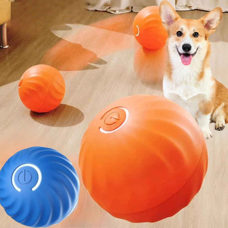 كرة لعبة للحيوانات الأليفة من  - مراجعة Automatic Moving Dog Ball وسعره