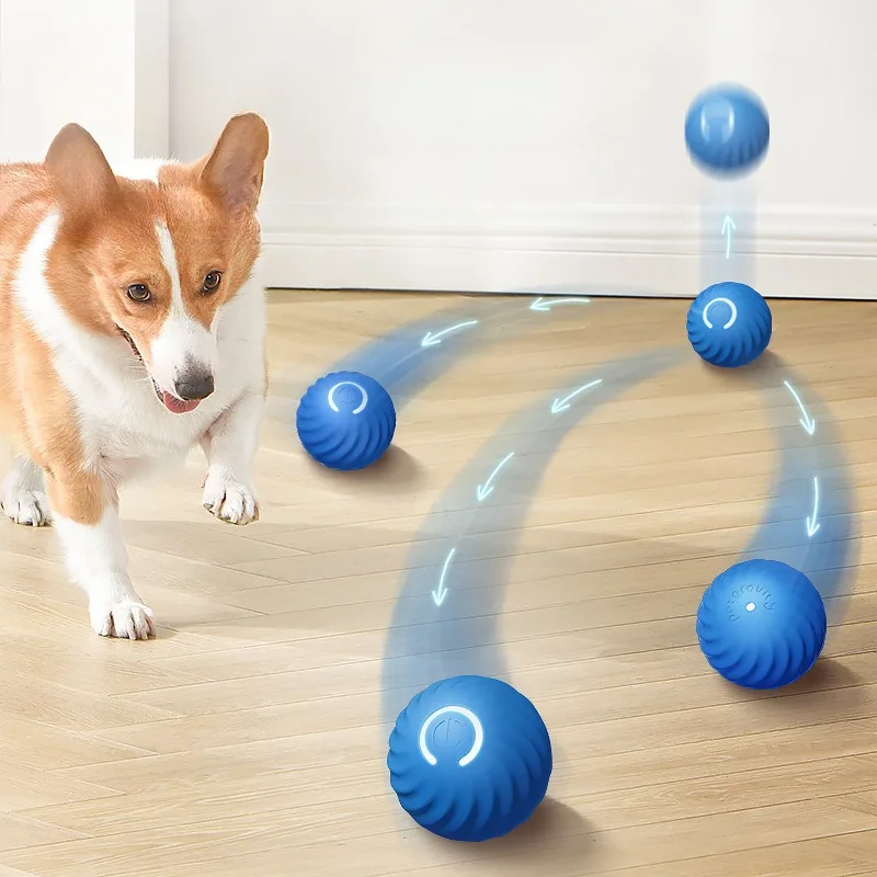 كرة لعبة للحيوانات الأليفة من  - مراجعة Automatic Moving Dog Ball وسعره