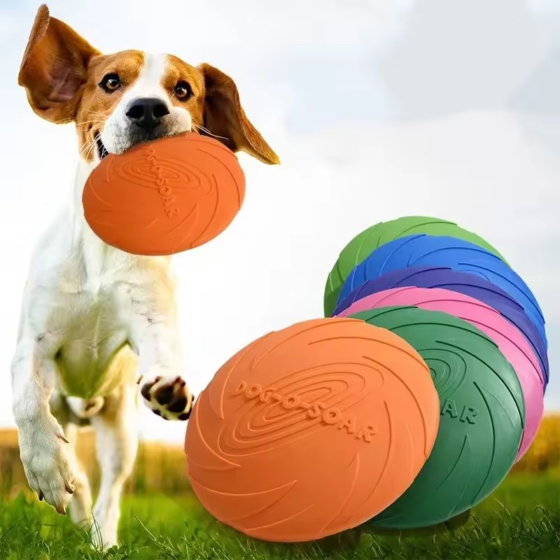 لعبة طبق طائر تفاعلية من السيل - مراجعة Flying Disc Dog Training Toy وسعره