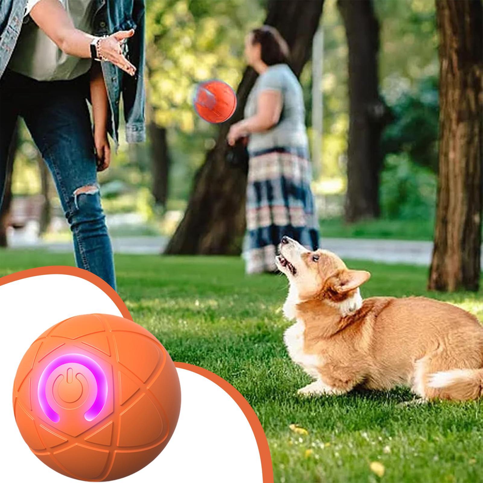 ألعاب الكلب التفاعلية الذكية ل - مراجعة Automatic Moving Dog Ball وسعره