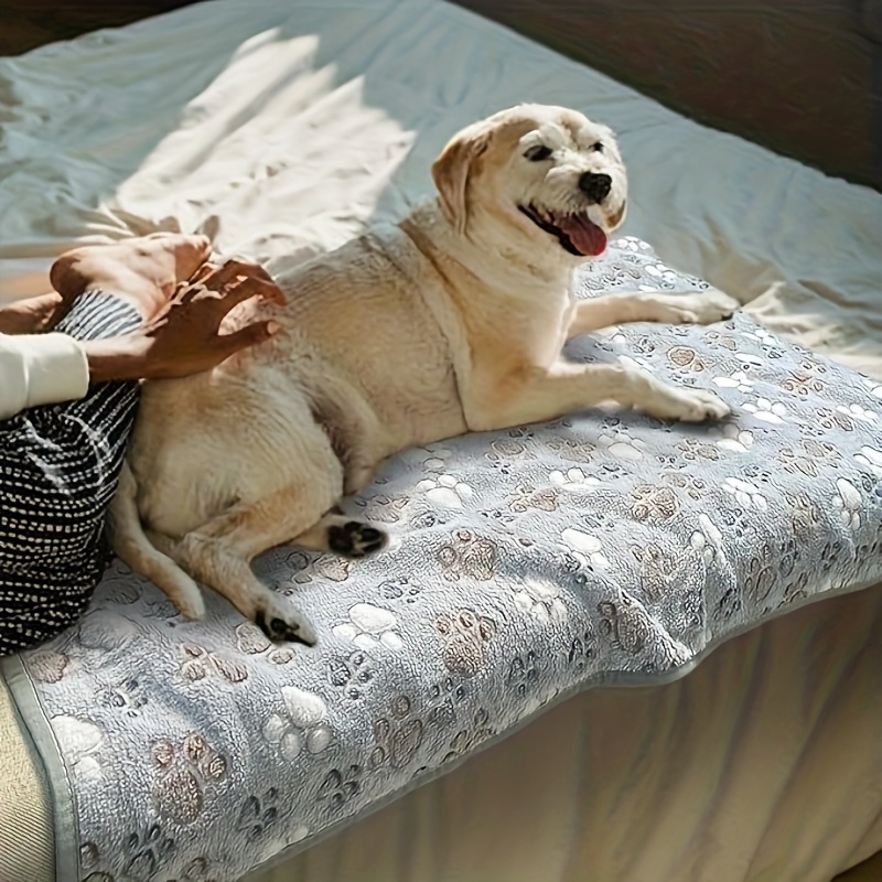 منشفة مريحة للحيوانات الأليفة، - مراجعة Pet Beds وسعره