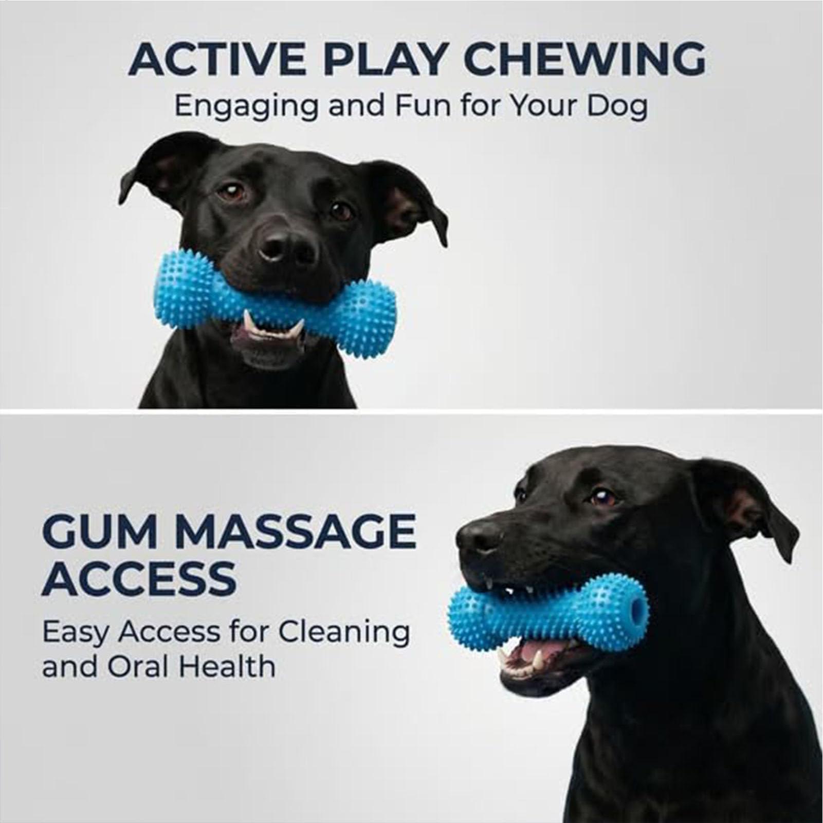 ألعاب تنظيف أسنان الكلاب، أعوا - مراجعة Rubber Treat Dispensing Dog Toy وسعره