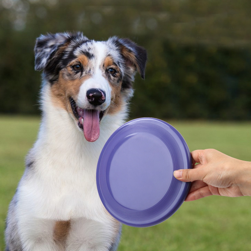 مضحك تحلق الصحن للكلب ، 1 جزء  - مراجعة Flying Disc Dog Training Toy وسعره