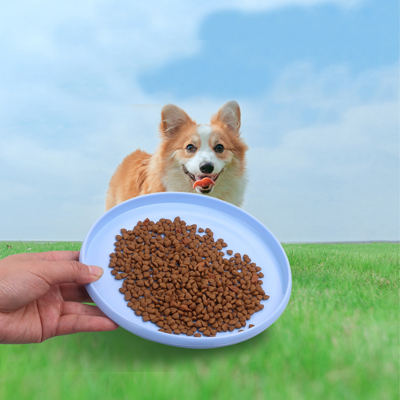 مضحك تحلق الصحن للكلب ، 1 جزء  - مراجعة Flying Disc Dog Training Toy وسعره