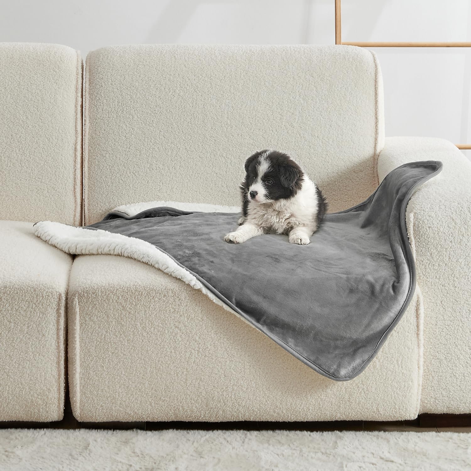 بطانية للحيوانات الأليفة بلون  - مراجعة Pet Beds وسعره