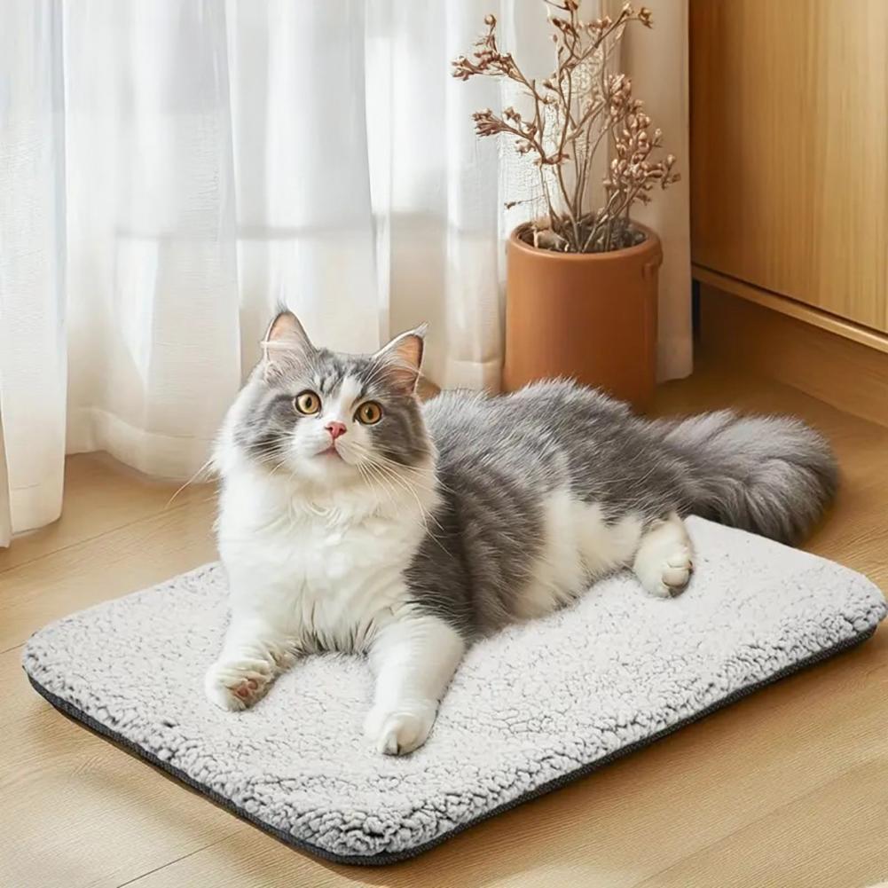وسادة حرارية دافئة للحيوانات ا - مراجعة Pet Beds وسعره