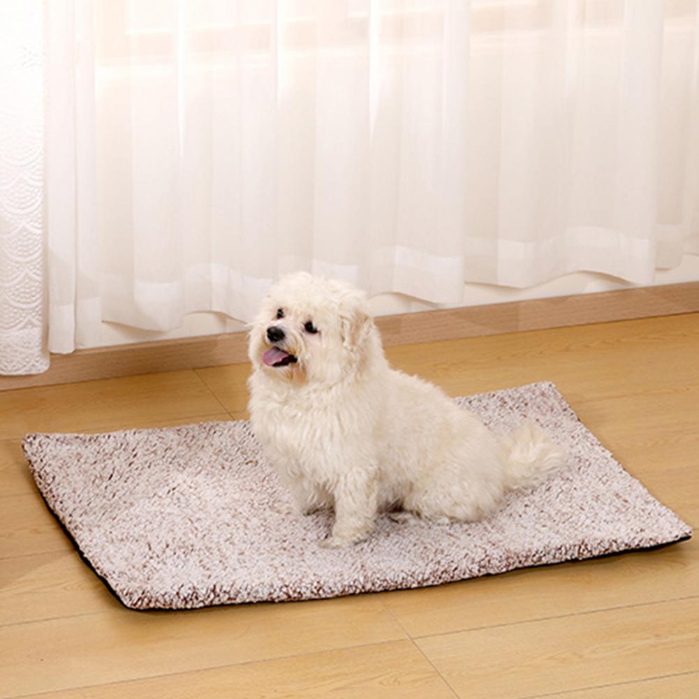 وسادة حرارية دافئة للحيوانات ا - مراجعة Pet Beds وسعره