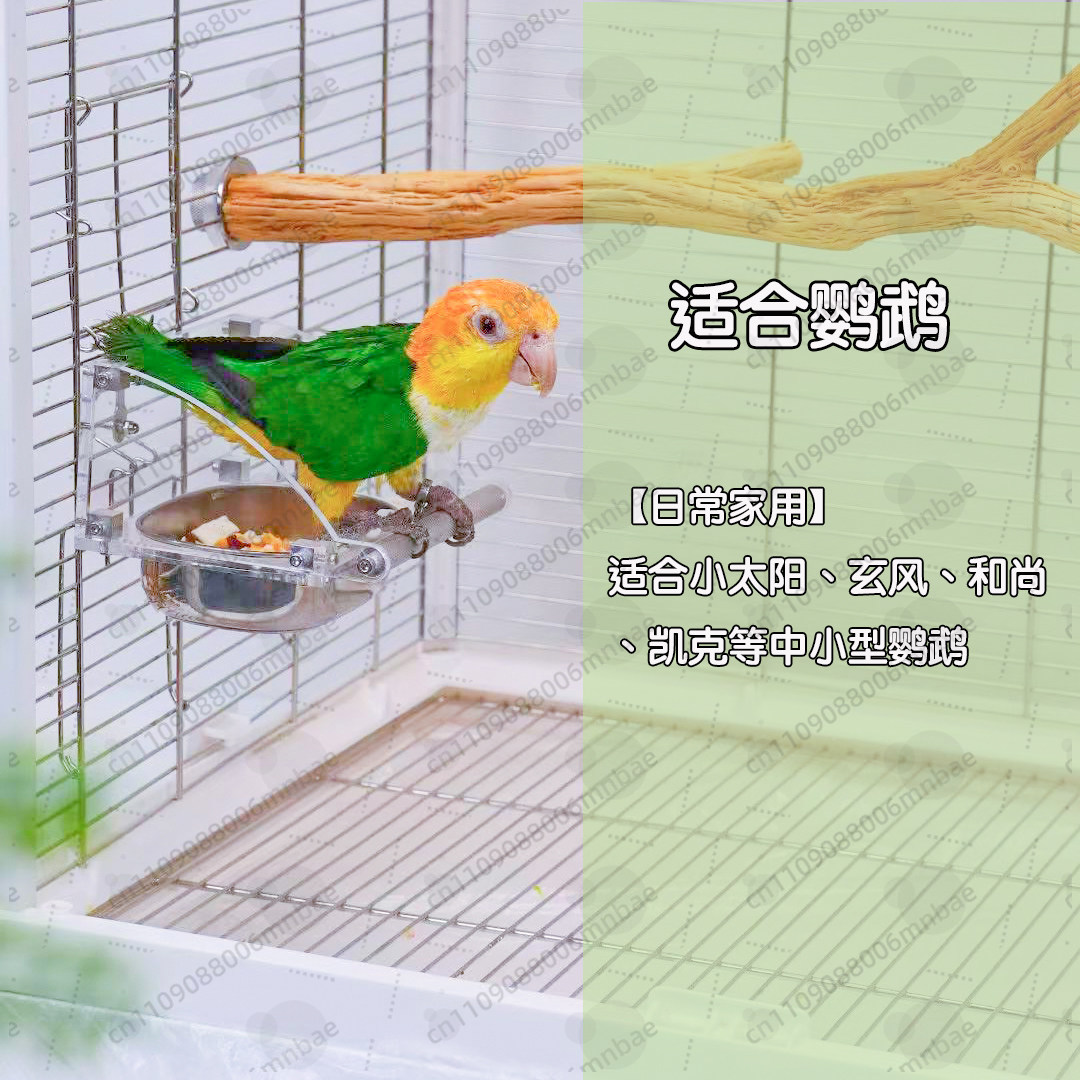 صندوق طعام للببغاء من الفولاذ  - مراجعة Pet Feeders وسعره