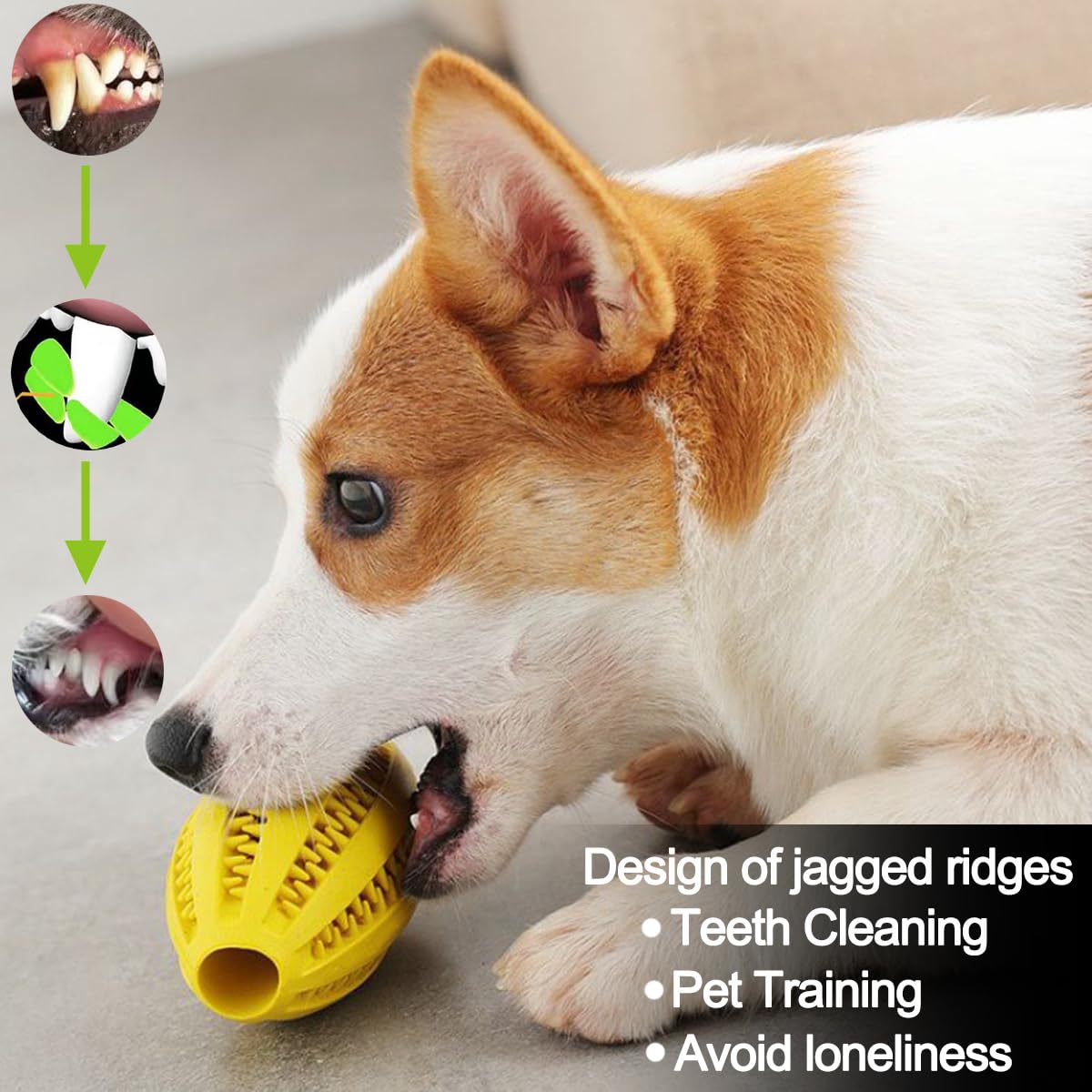 كلب مضغ اللعب تنظيف الأسنان وج - مراجعة Indestructible Dog Chew Toy وسعره