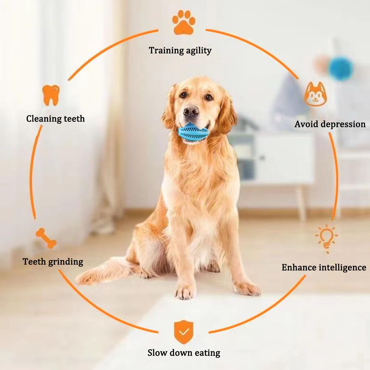 كلب مضغ اللعب تنظيف الأسنان وج - مراجعة Indestructible Dog Chew Toy وسعره