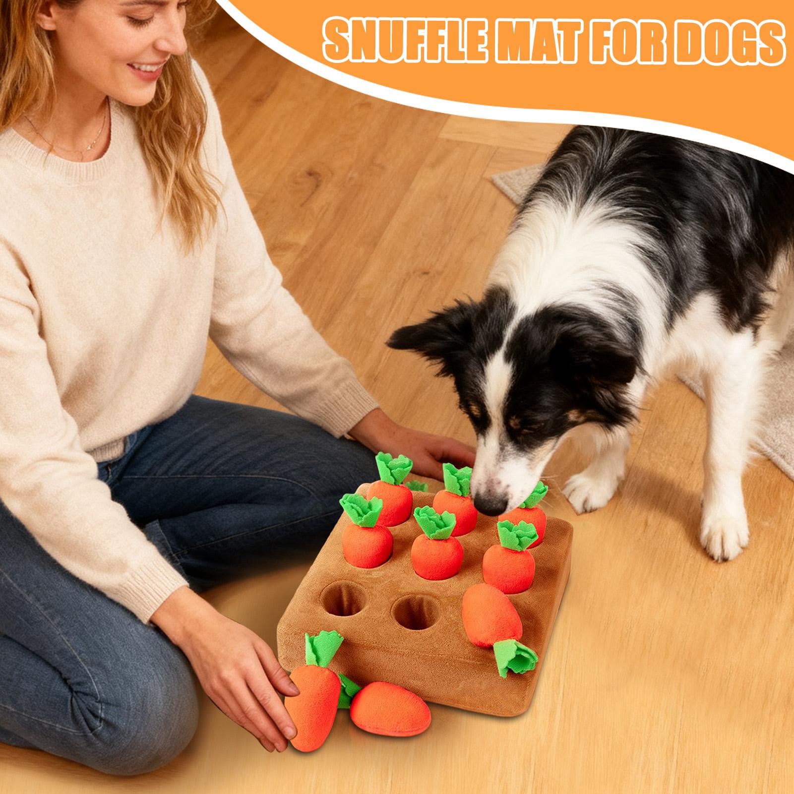 ألعاب تفاعلية للحيوانات الأليف - مراجعة Snuffle Mat For Dogs وسعره