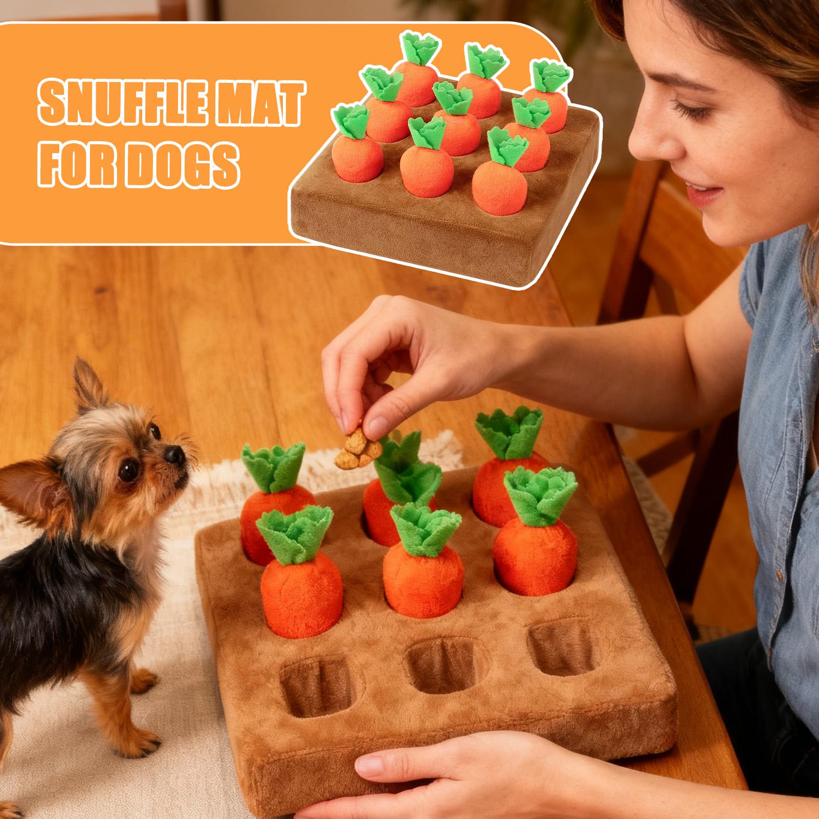 ألعاب تفاعلية للحيوانات الأليف - مراجعة Snuffle Mat For Dogs وسعره