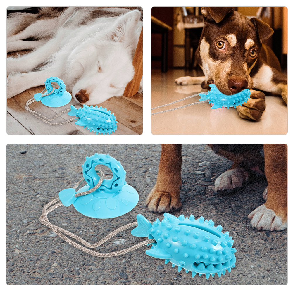 قطعتان من لعبة تدريب الكلاب ال - مراجعة Suction Cup Dog Tug Toy وسعره