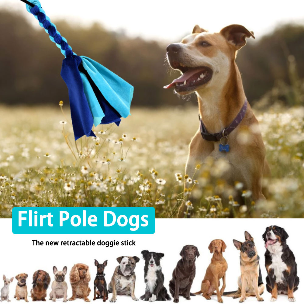 قابل للسحب الكلب عصا التفاعلية - مراجعة Interactive Squeaky Plush Dog Toy وسعره