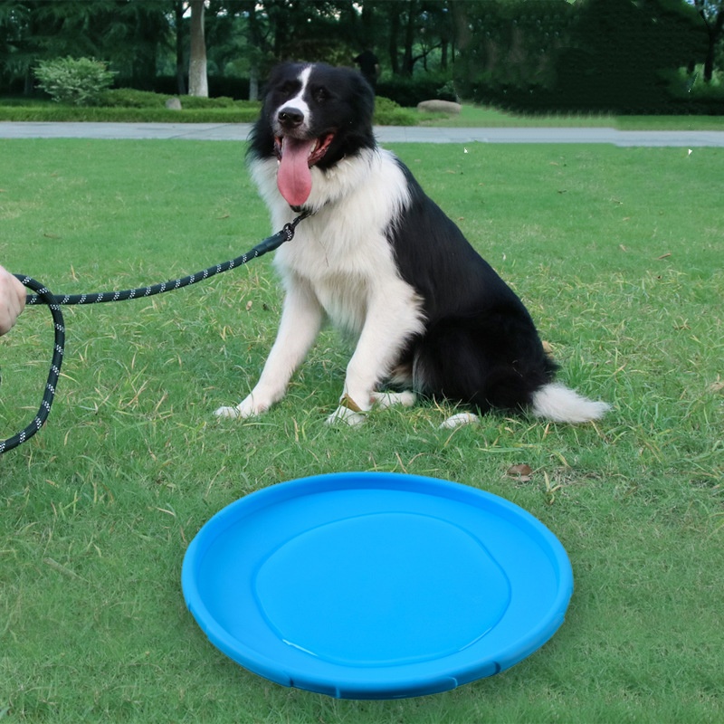لعبة الصحن الطائر من السيليكون - مراجعة Flying Disc Dog Training Toy وسعره